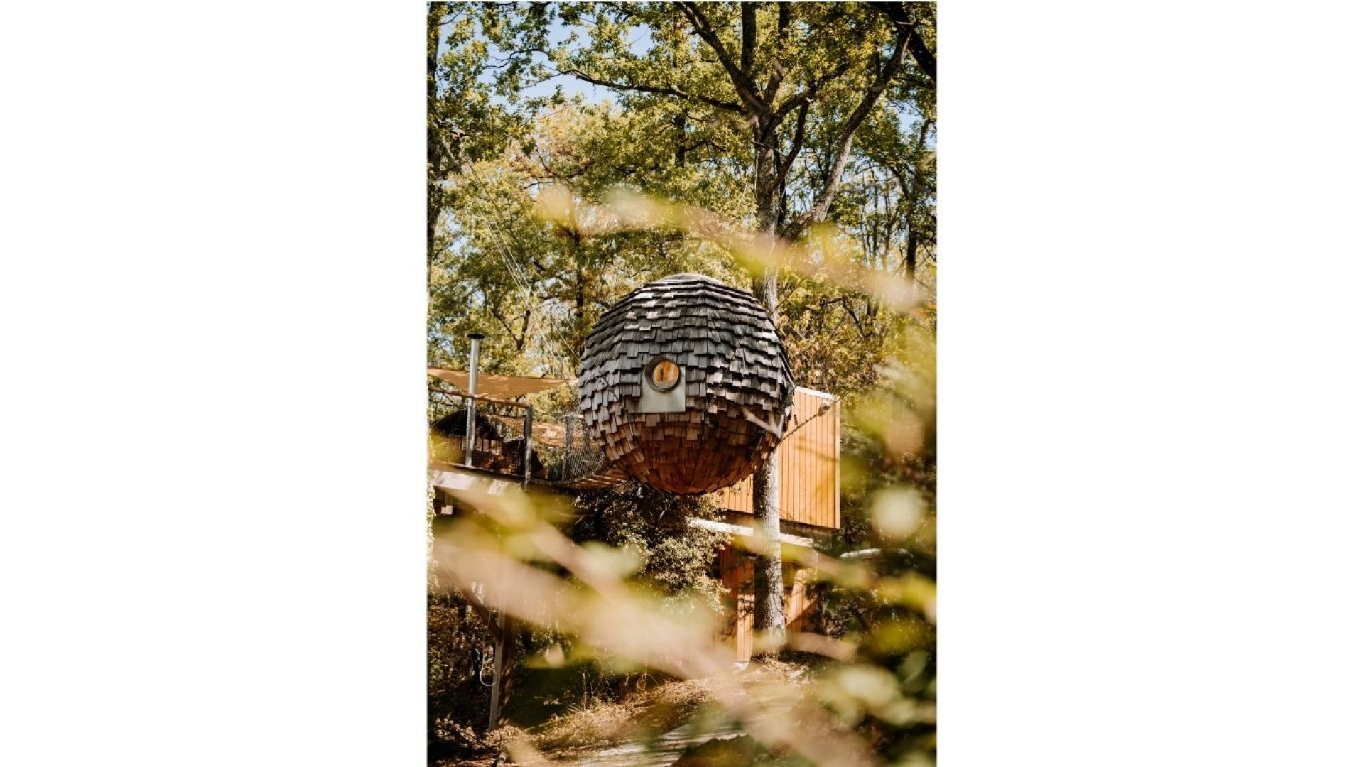 Lov'nid, un concept unique